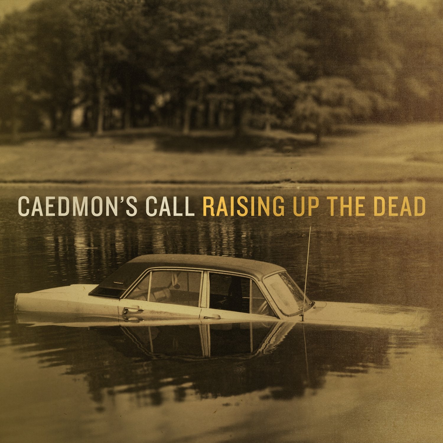 Raising Up The Dead