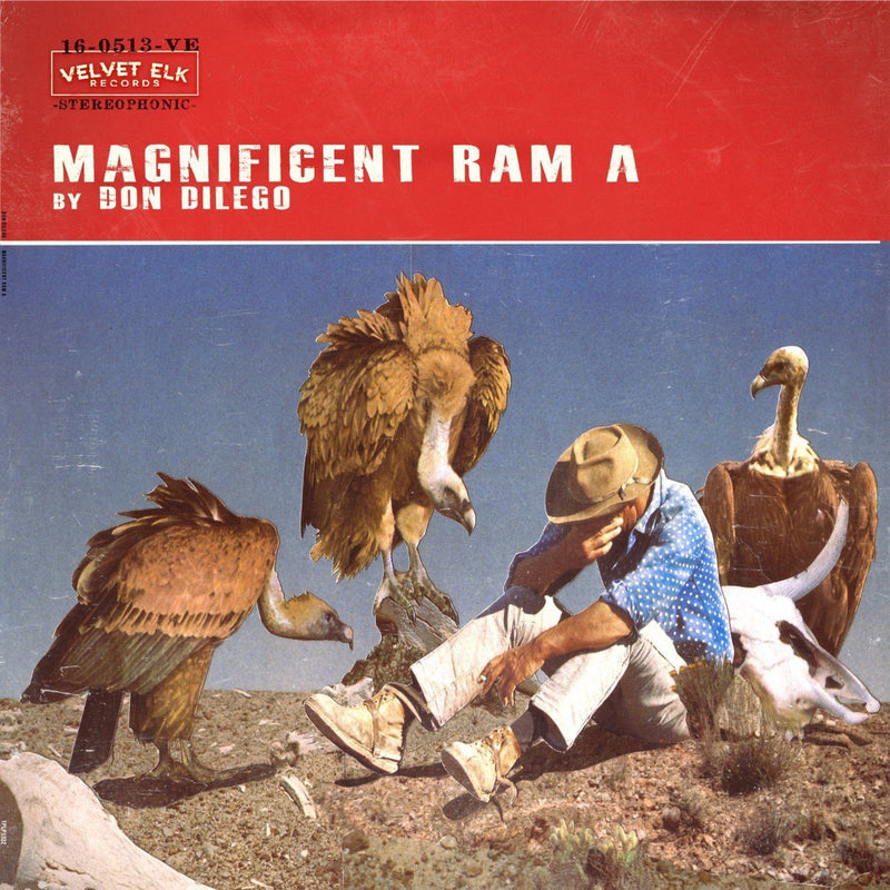 Magnificent Ram A