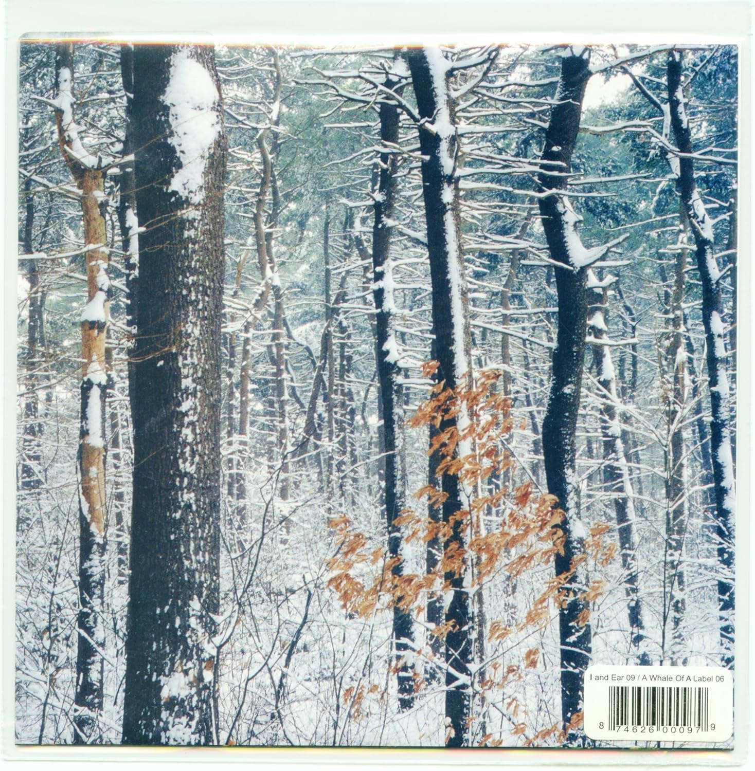 Forestry Ep