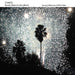 Ricardo & John Leftwich Silveira - Cosmos