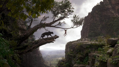 Jungle book (2016)