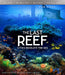 IMAX: The Last Reef: Cities Beneath the Sea