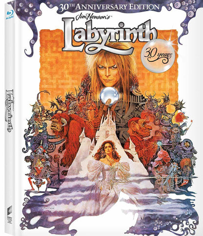 Labyrinth (30° Anniv.Spec.Edt.)