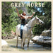 Grey Horse
