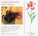 Golden Melodies from Opera