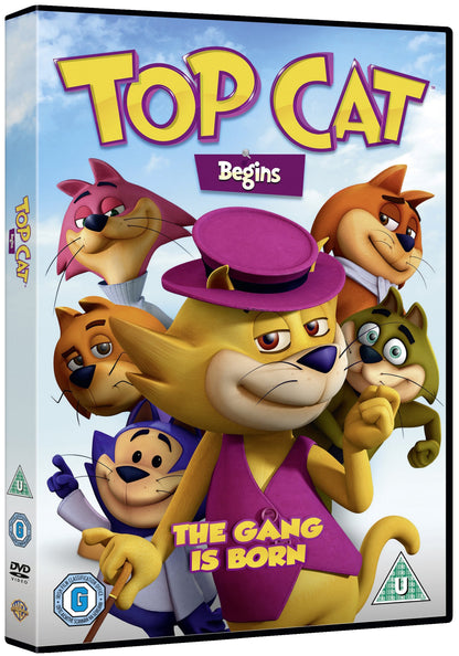 Top Cat Begins