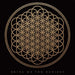 Bmth Flower Individual Cork Coaster