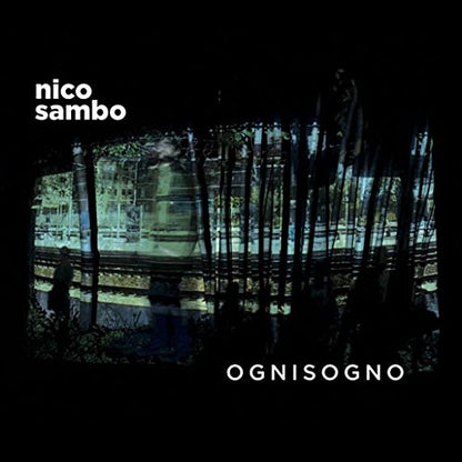 Ognisogno