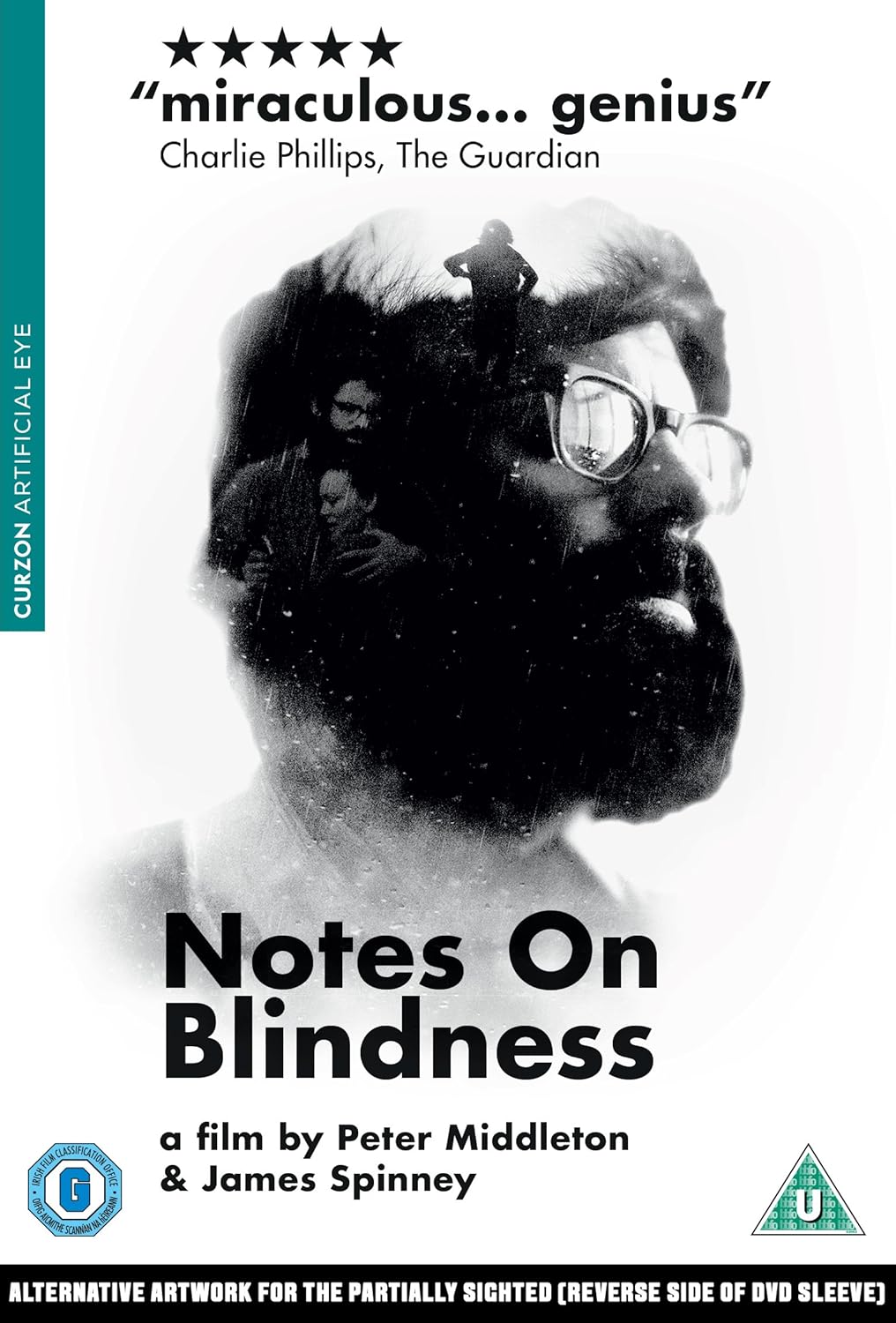 Notes On Blindness