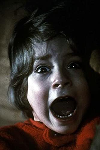 Shining (stanley Kubrick Collection)