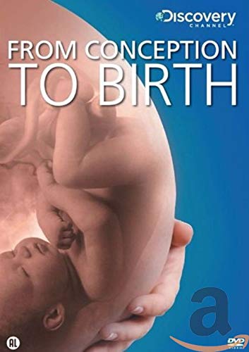 From conception to birth