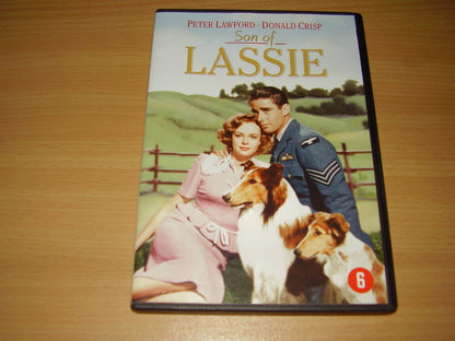 Son Of Lassie