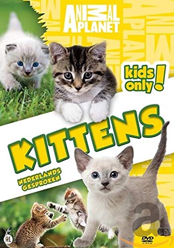 Animal planet - Kittens