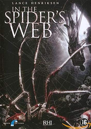 In the spider's web