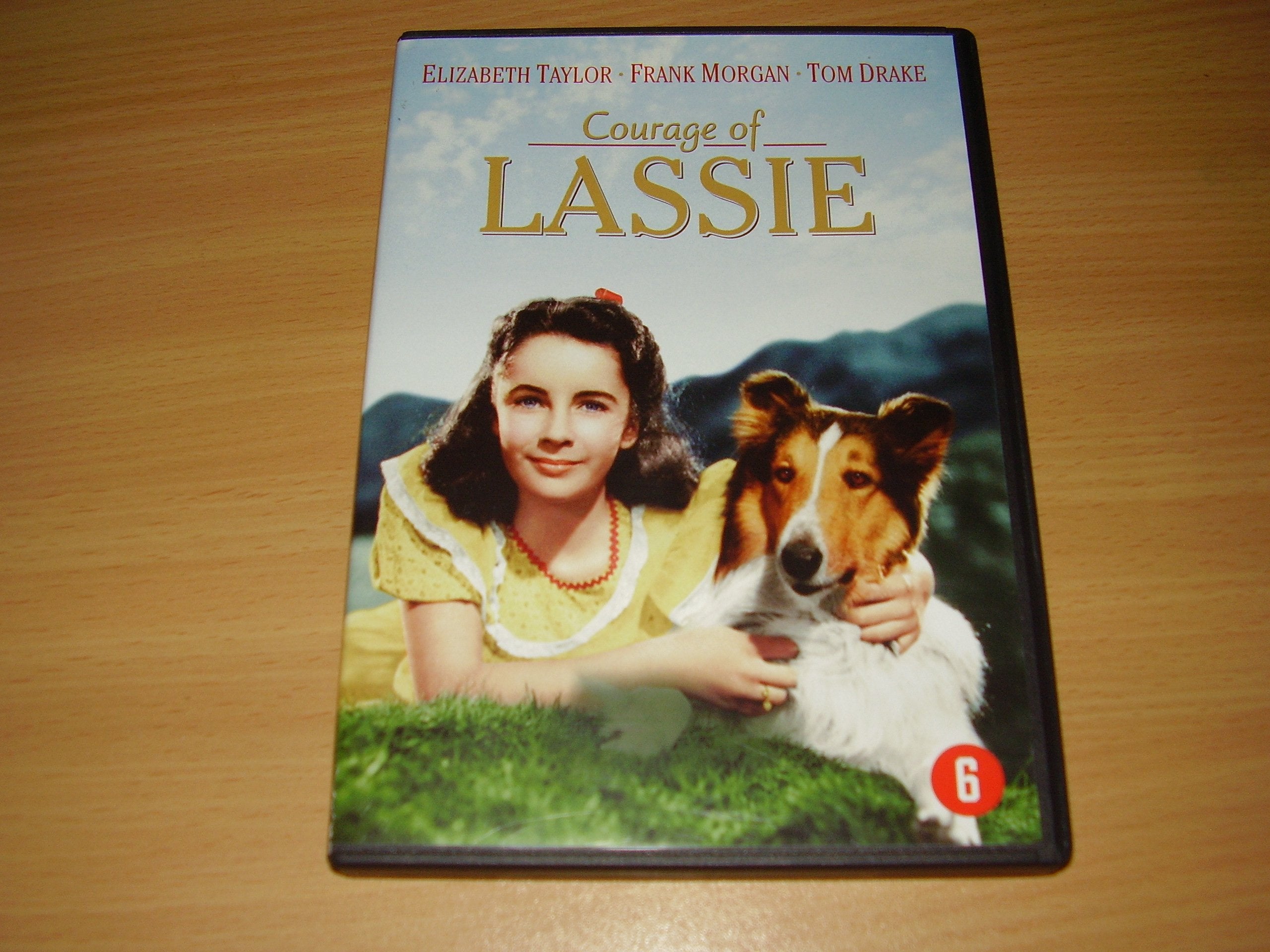 Lassie - Courage of Lassie