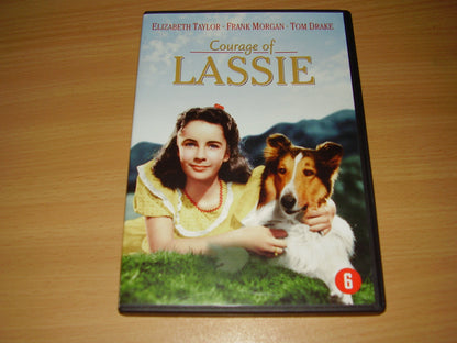 Lassie - Courage of Lassie