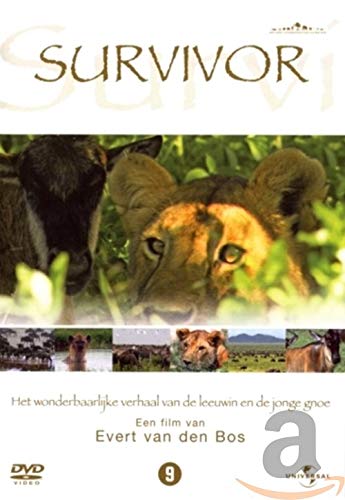 dvd - Survivor (1 DVD
