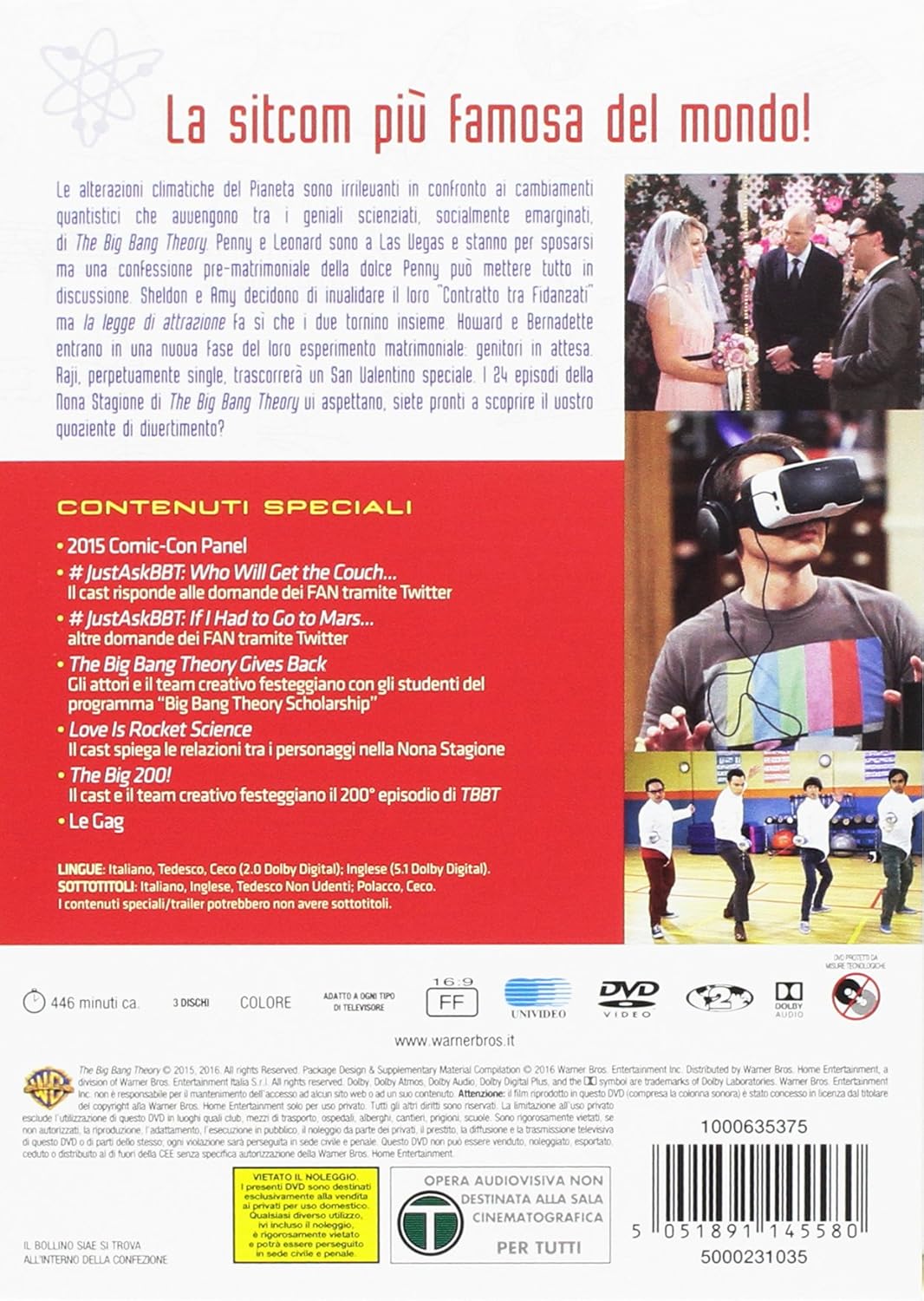 The Big Bang Theory St.9 (Box 3 DVD)