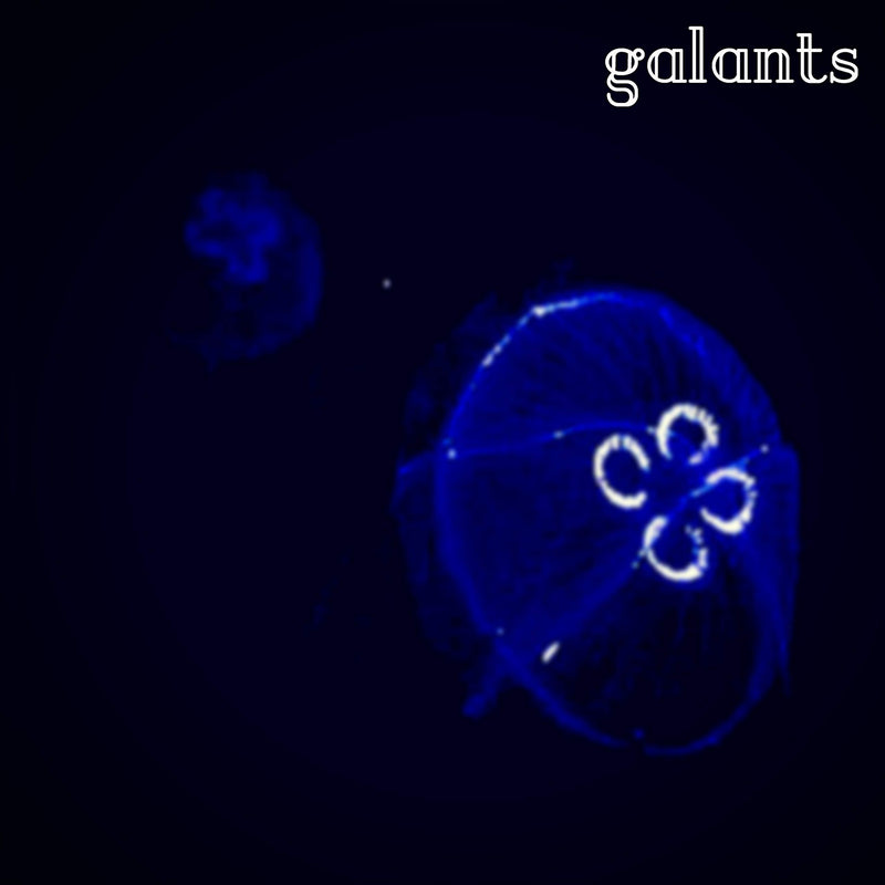 Galants