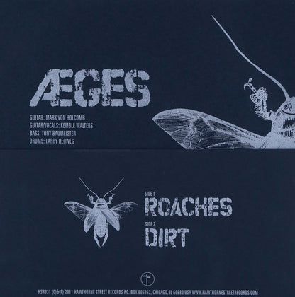 Roaches