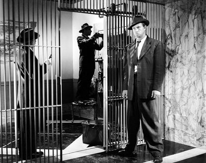 The Asphalt Jungle (The Criterion Collection)