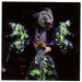 Vulnicura Live