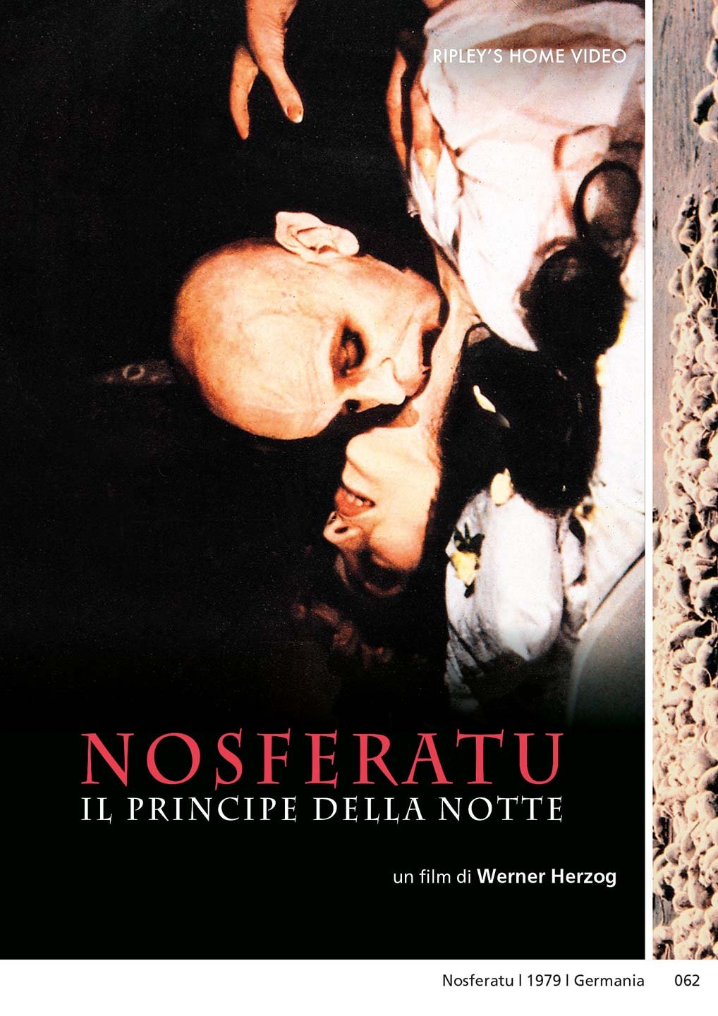 Nosferatu - Il Principe Della Notte