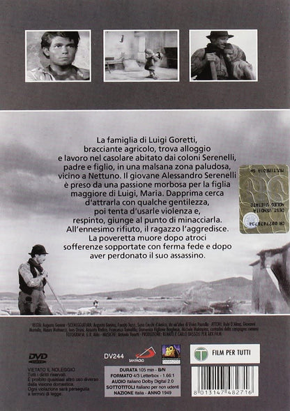 Cielo Sulla Palude