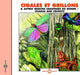 Cigales Et Grillons: & Autres Insectes Chanteurs Du Monde