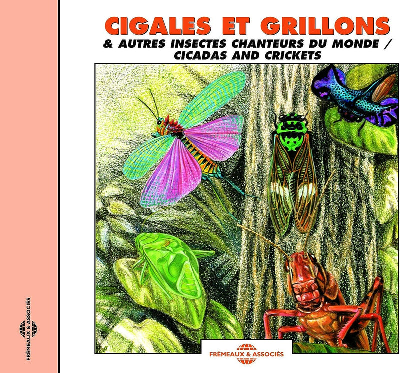 Cigales Et Grillons: & Autres Insectes Chanteurs Du Monde