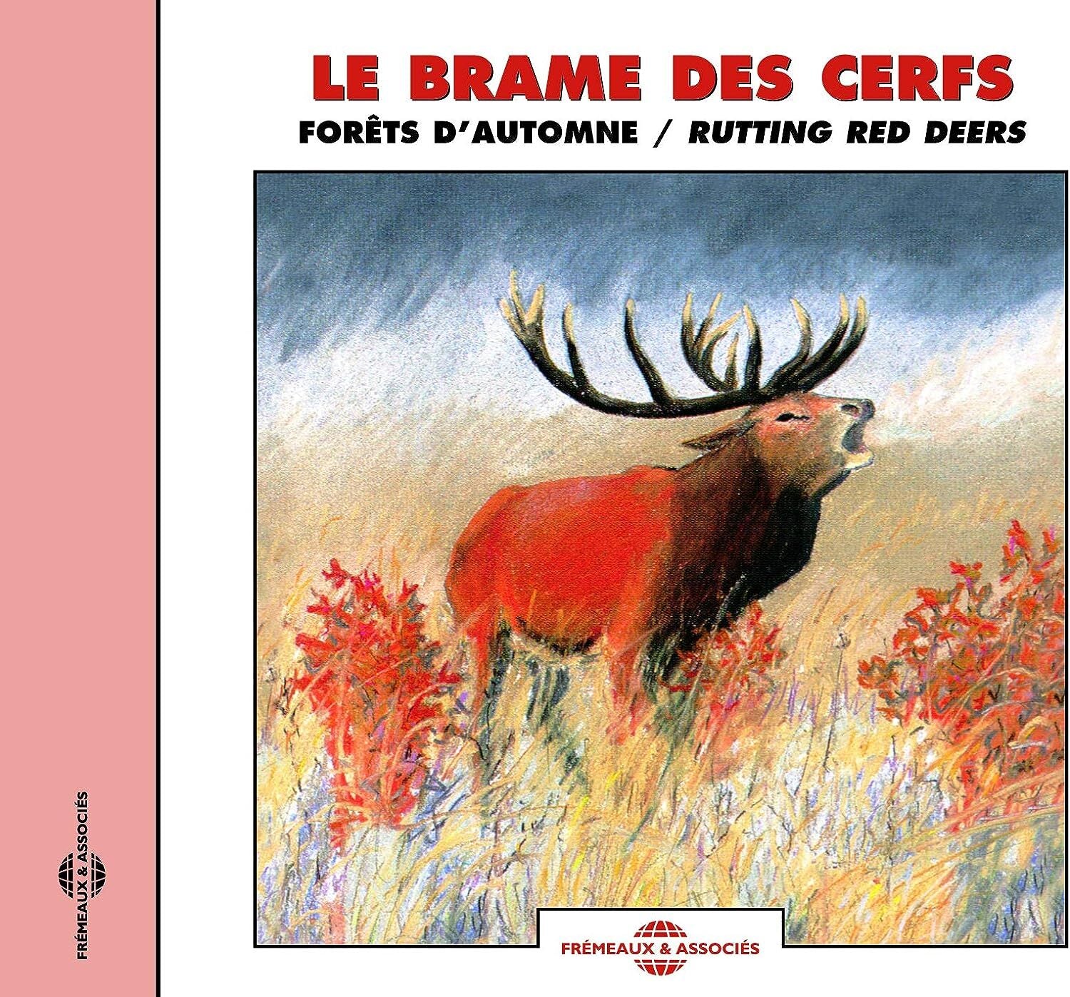 Le Brame Des Cerfs: Forêts A'automne/Rutting Red Deers