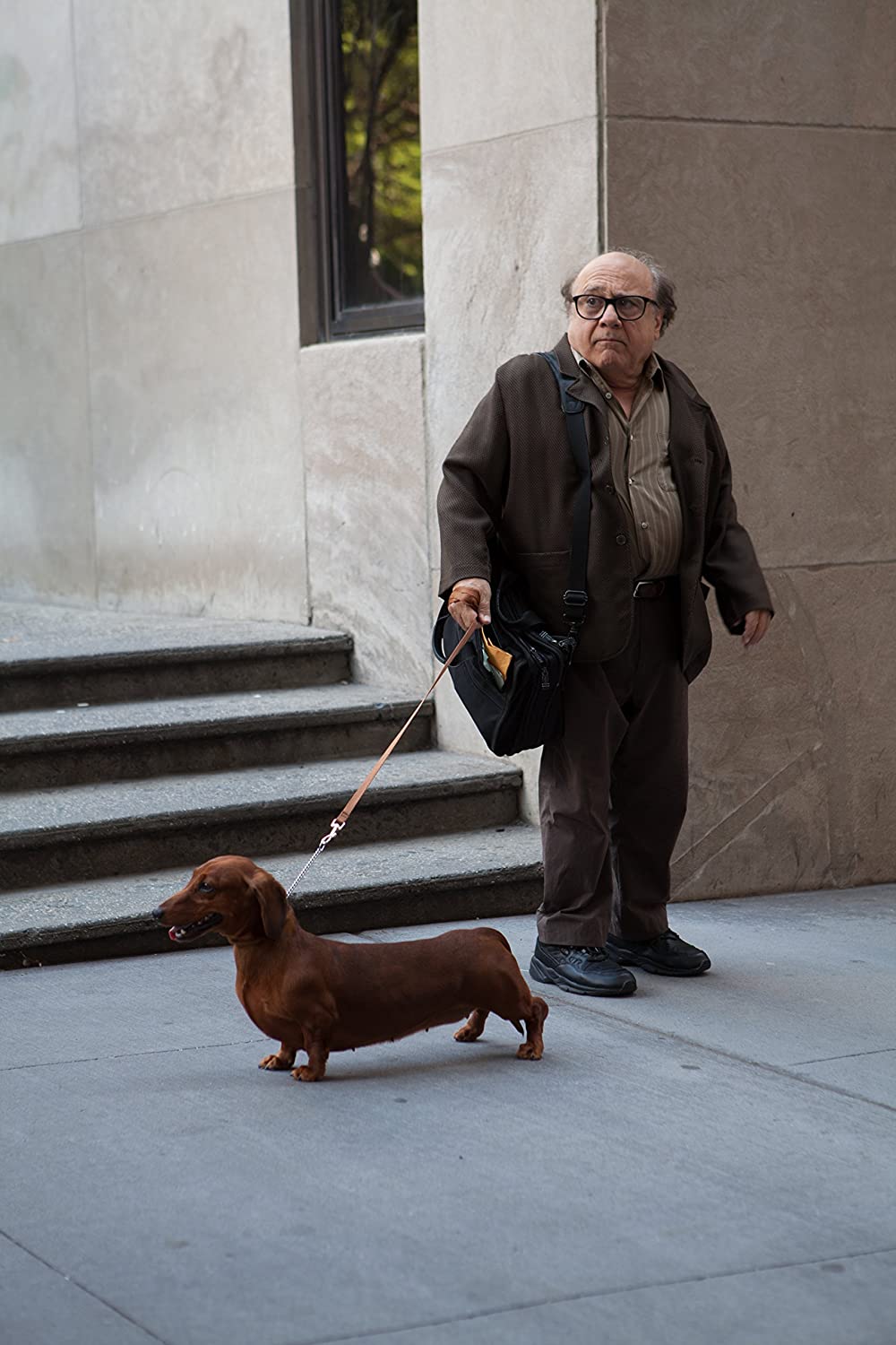 Wiener Dog
