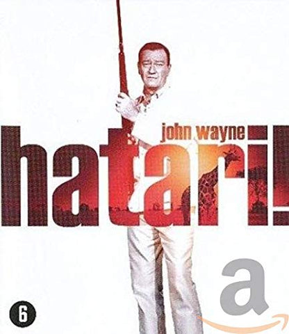 Hatari 2013