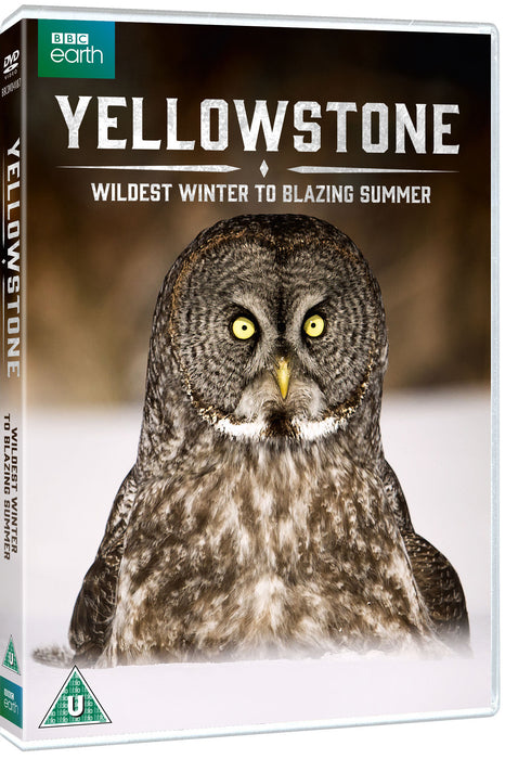 Yellowstone - Wildest Winter to Blazing Summer