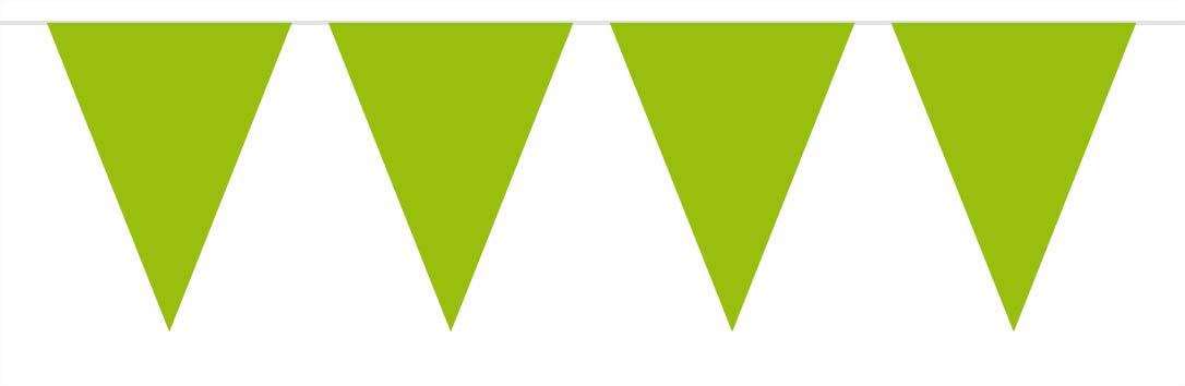 Bunting Green 10m with 15 Flags, Triangles Plastic