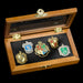 Hogwarts House Pins by The Noble Collection - Set of 5 Metal, Hand-Enamelled House Pin Badges Supplied in a Wooden Display Case - Officially Licensed Harry Potter Movie Collectable