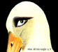 Del Mio Meglio N.9 (Slidepack)