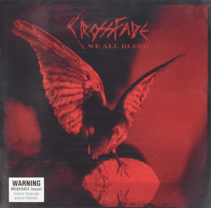 2010 Album