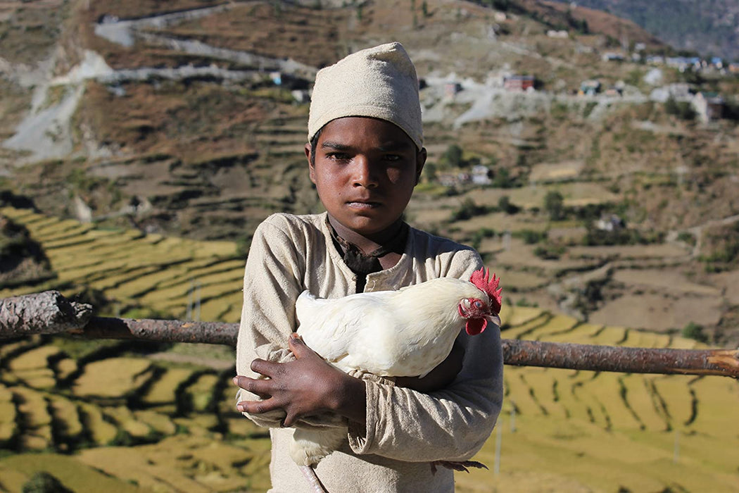 The Black Hen (Kalo Pothi)