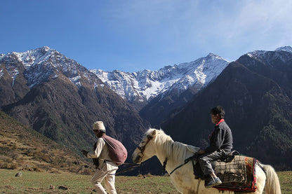 The Black Hen (Kalo Pothi)