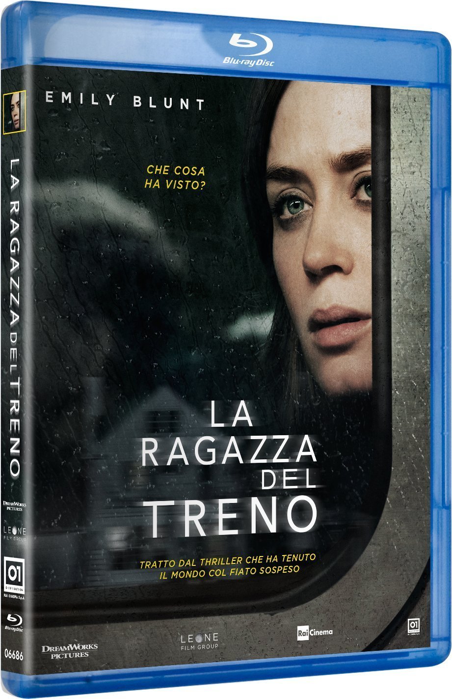 LA RAGAZZA DEL TRENO (BR