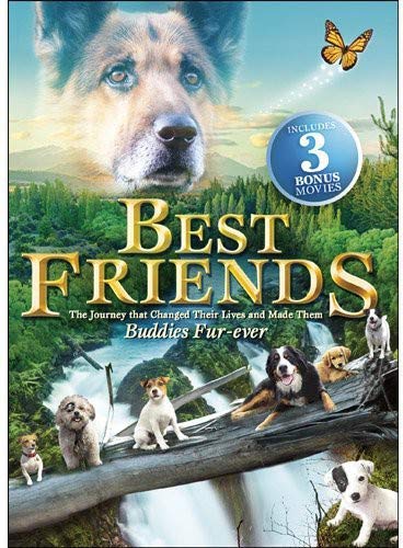 FOSTER & ALLEN BEST FRIENDS