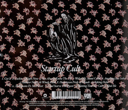 Startup Cult