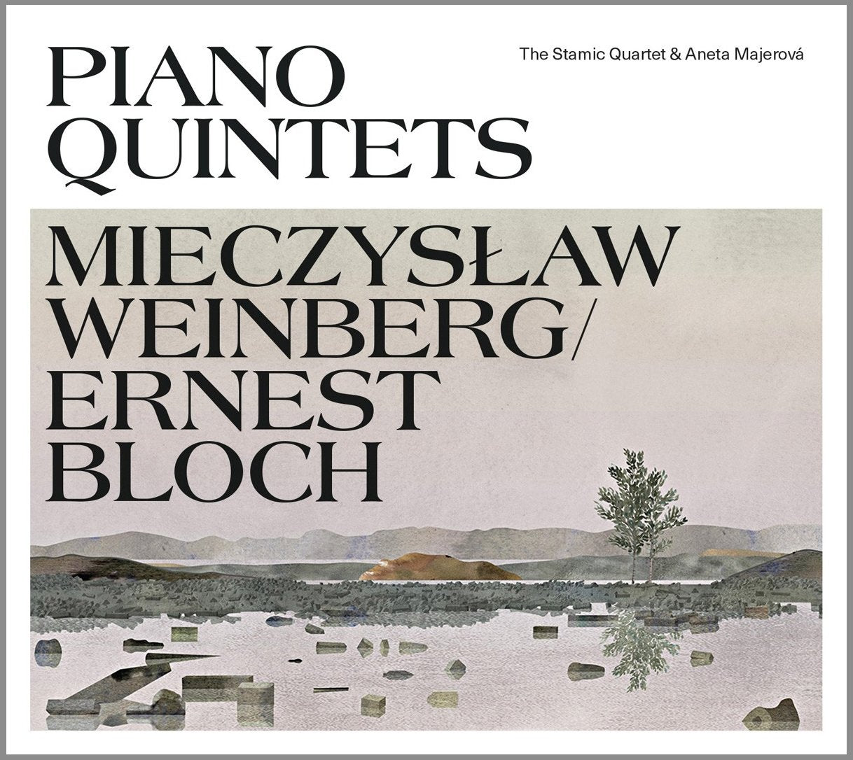 The Stamic Quartet & Aneta Majerova - Piano Quintets