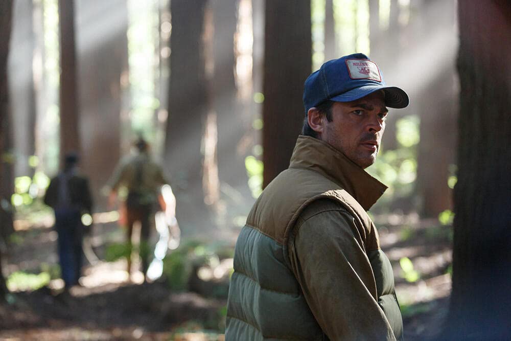 DVD - Peter en de draak (2016) (1 DVD