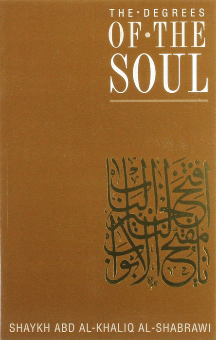 The Degrees of the Soul: Spiritual Stations on the Sufi Path: v. 5 (Classics of Muslim Spirituality S.