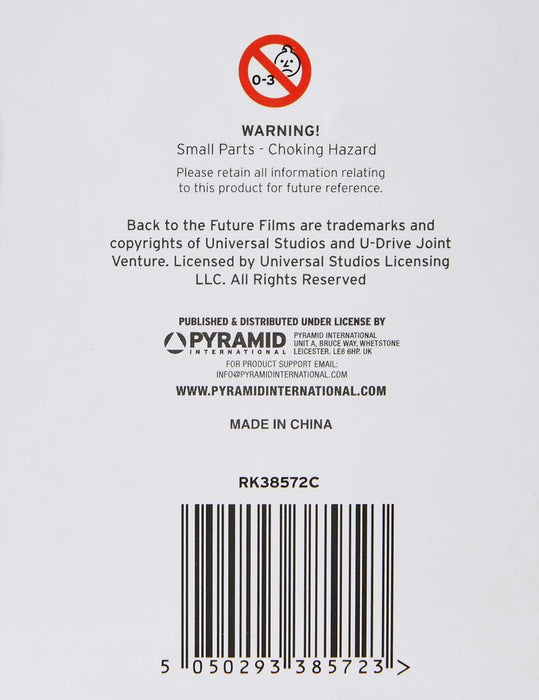 Pyramid International RK38572C Back to the future keychain ( license plate ) , Multi-Colour, 4.5 x 6 x 1.3 cm