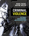 `Criminal Violence: Patterns, Explanations, And Interventions`