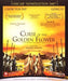 Curse of the golden flower
