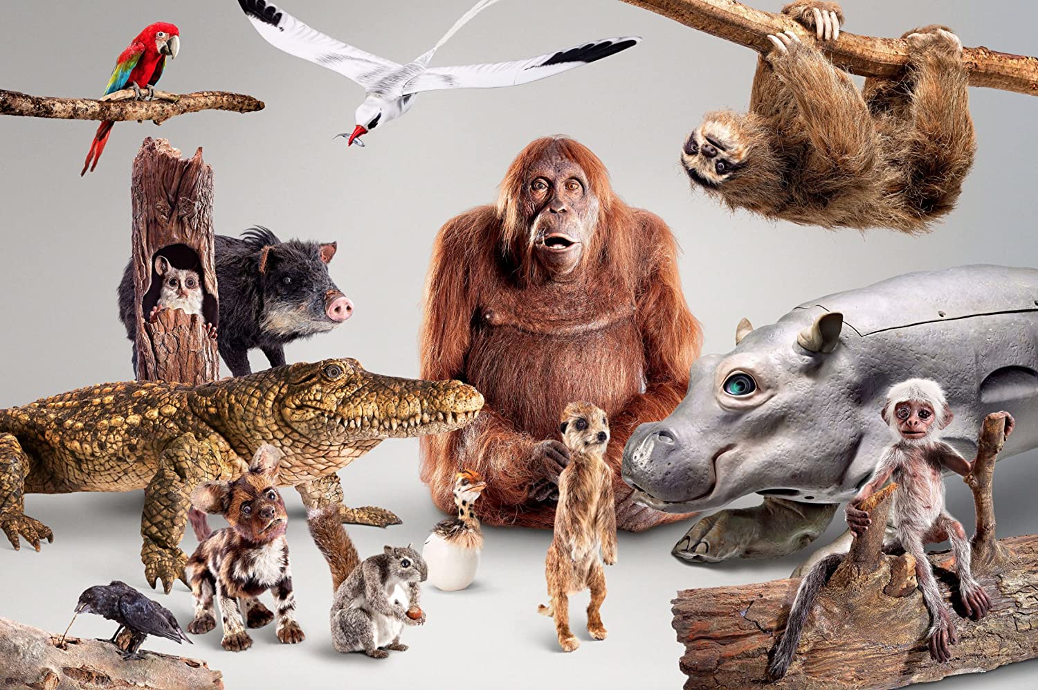 Spy in the Wild (BBC)